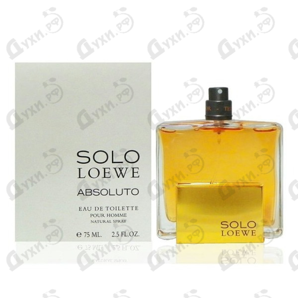 loewe solo absoluto